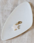 Witte ster bedel