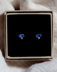 kleine blauwe oorknopjes