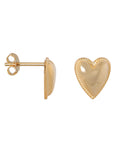 Gouden oorknopjes