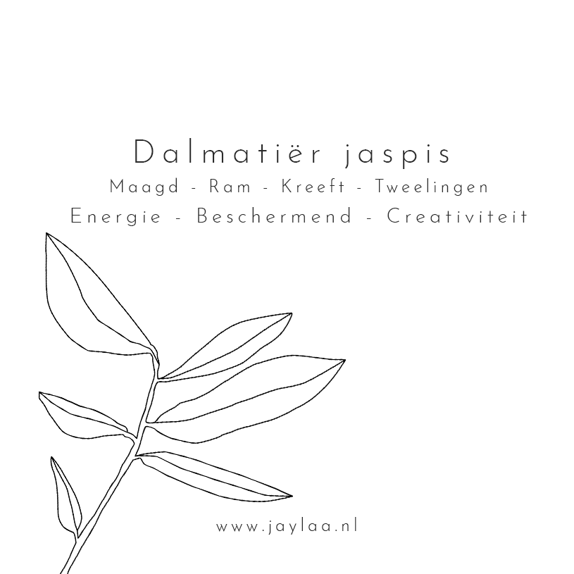 edelsteenkaart dalmatiër jaspis