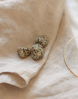 Dalmatian Jasper L || Protection