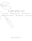 Edelsteen labradoriet