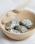 Dalmatian Jasper L || Protection