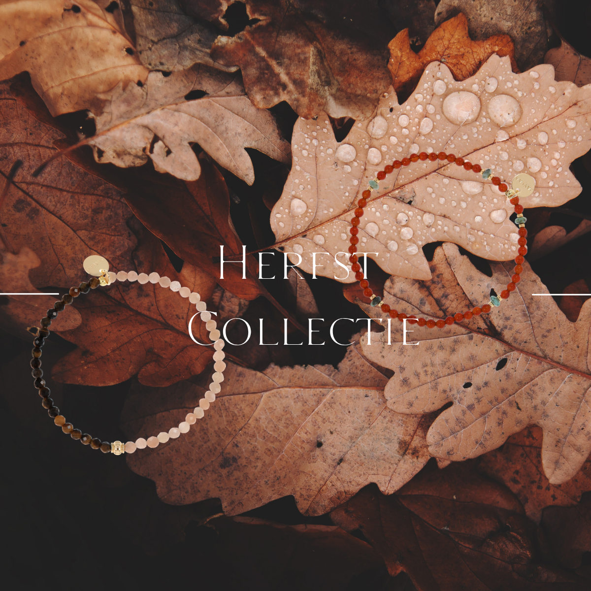 Herfst collectie 2026 Jaylaa Jewelry
