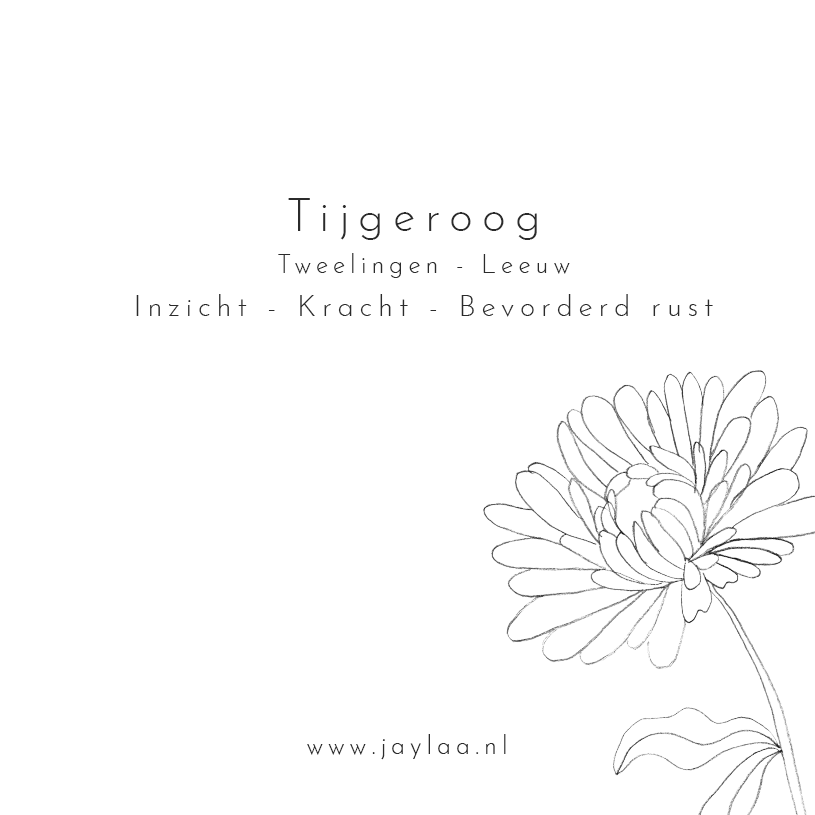 Sieraden kaart || Tijgeroog